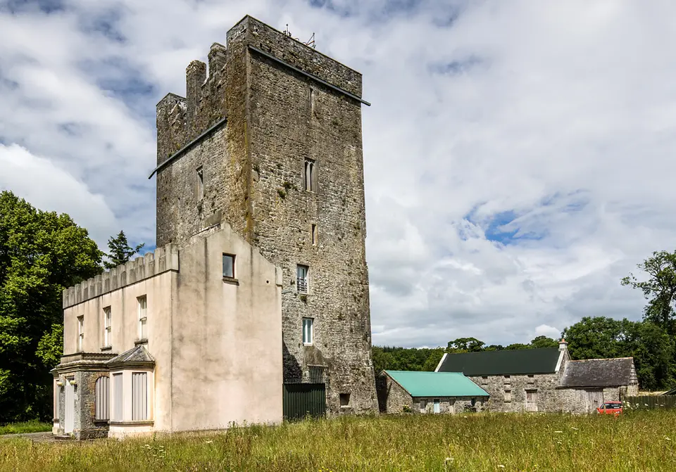 Castles of Munster: Ballinard, Tipperary (2)