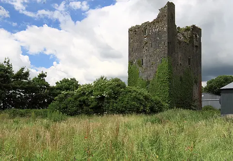 Castles of Munster, Ballindoney, Tipperary geograph.org.uk 1393375