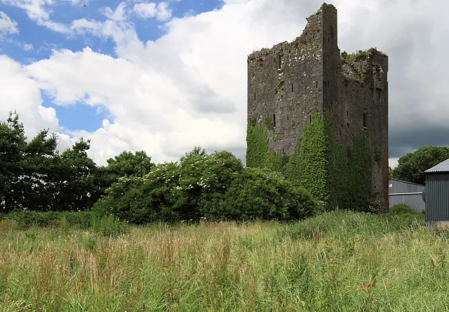 Castles of Munster, Ballindoney, Tipperary geograph.org.uk 1393375