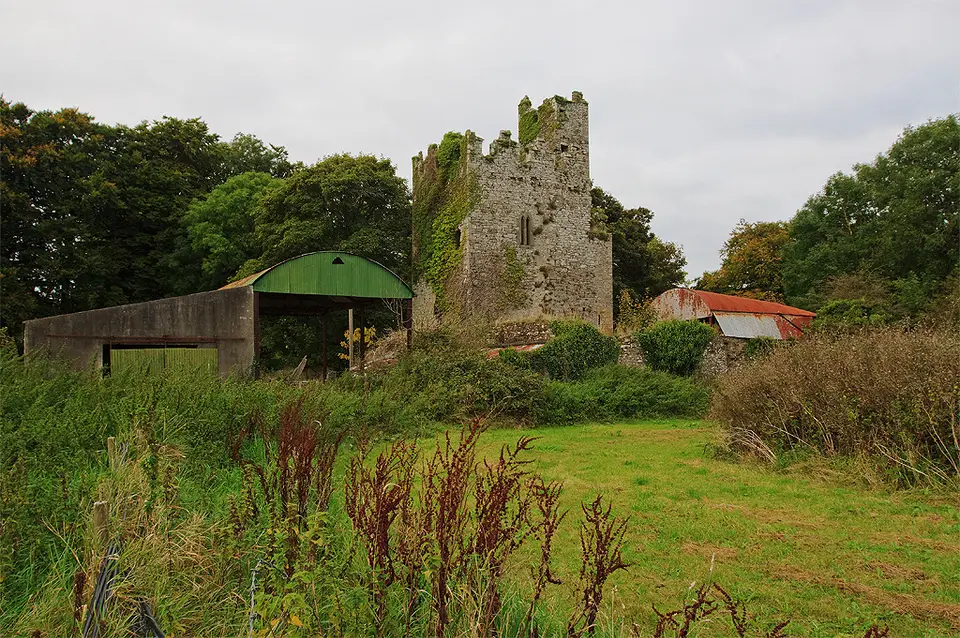 Castles of Munster, Ballingarry, Limerick geograph.org.uk 1541594