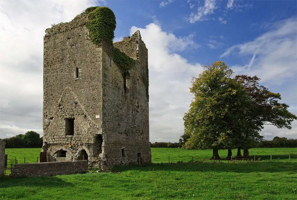 Castles of Munster, Ballybeg, Tipperary geograph.org.uk 1542301