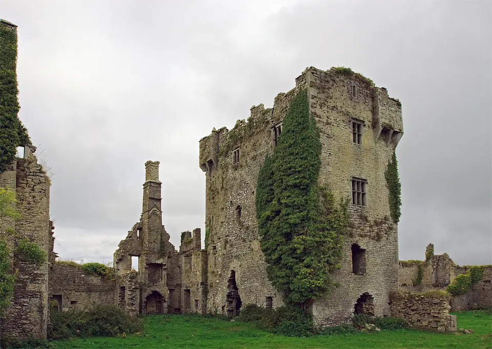 Castles of Munster: Ballygrennan, Limerick (2) The castle ruins showing the tower, and the remains of a later C17 house.