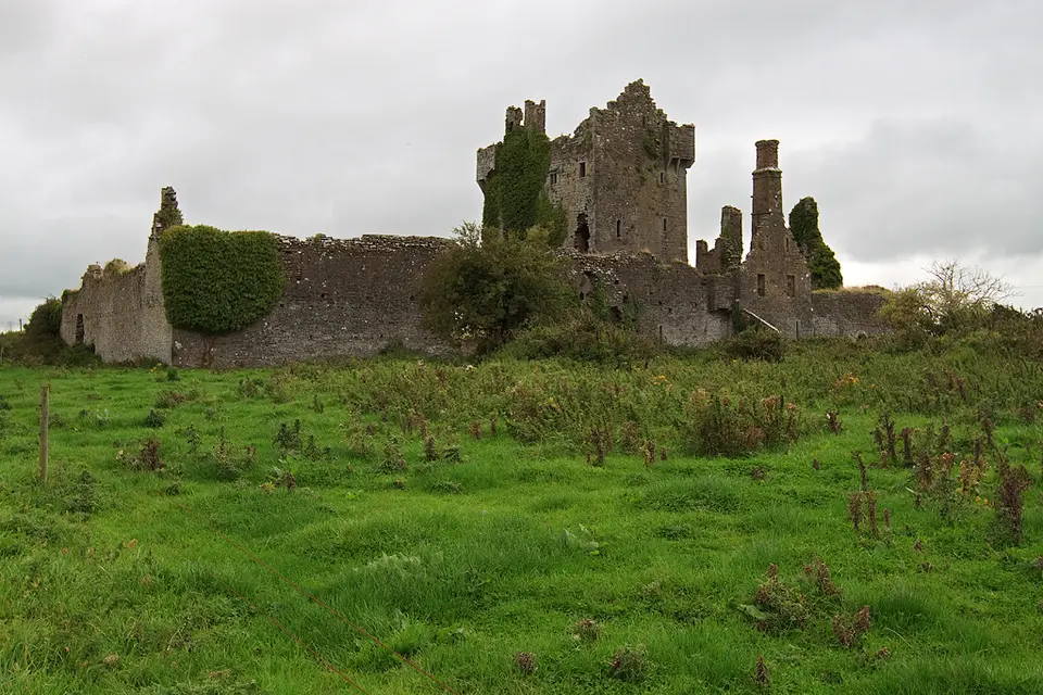 Castles of Munster, Ballygrennan, Limerick geograph.org.uk 1541489