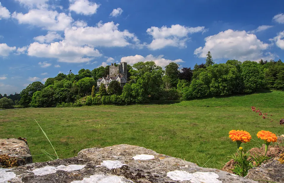 Castles of Munster, Ballyhooly, Cork geograph.org.uk 1393428