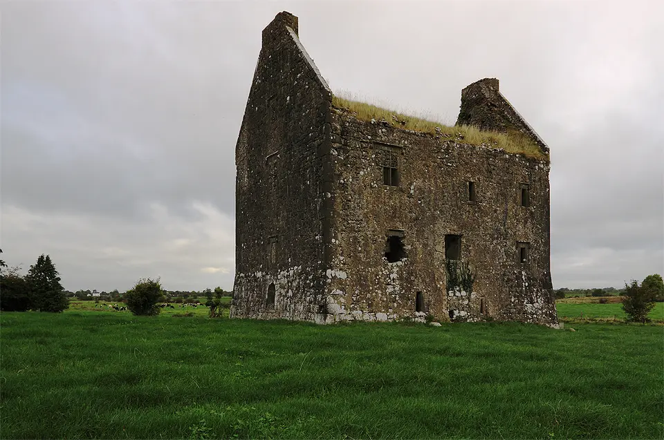 Castles of Munster, Ballynahinch, Limerick geograph.org.uk 1541441