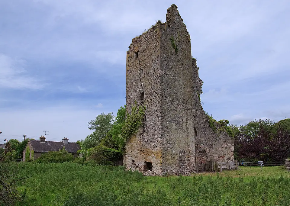 Castles of Munster: Borrisoleigh, Tipperary (1)