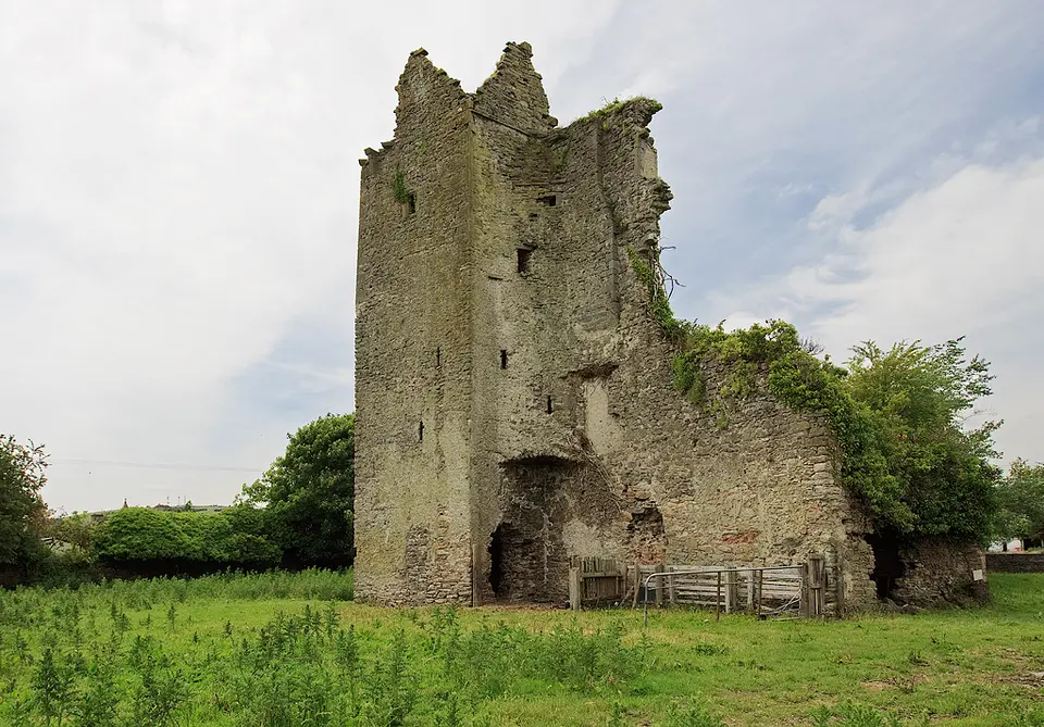 Castles of Munster: Borrisoleigh, Tipperary (2)