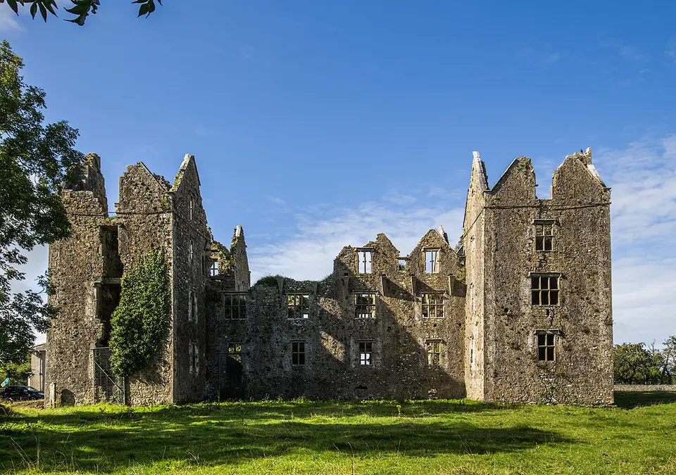 Castles of Munster: Burncourt, Tipperary - revisited (1)
