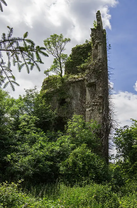 Castles of Munster: Cappa, Tipperary