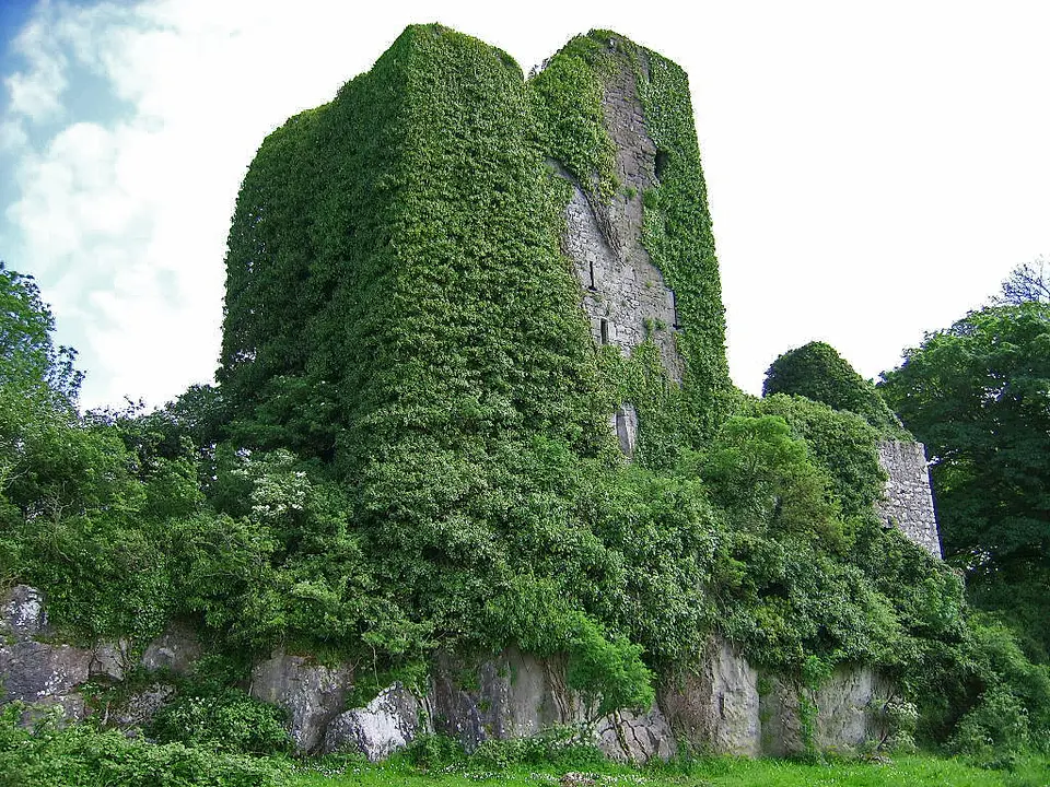 Castles of Munster: Carrigareely, Limerick (1)