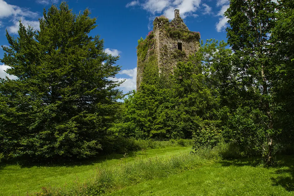 Castles of Munster, Carrignamuck, Cork geograph.org.uk 1392949