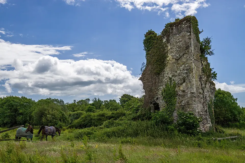 Castles of Munster: Cloncoskoran, Co. Waterford (1)