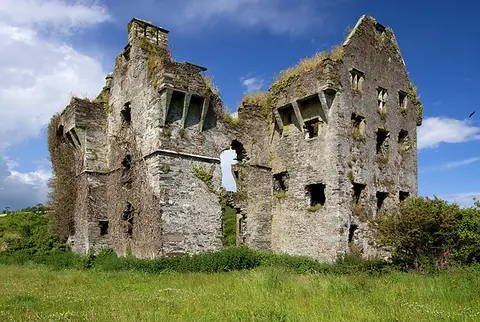 Castles of Munster, Coppingers Court, Cork geograph.org.uk 1392905