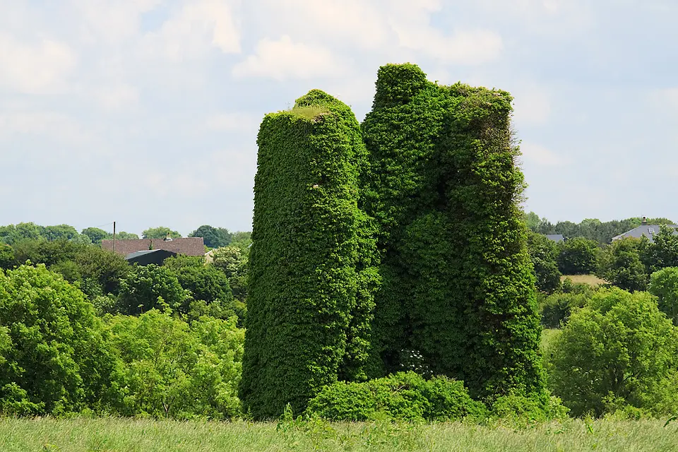 Castles of Munster: Kilbeheny, Limerick