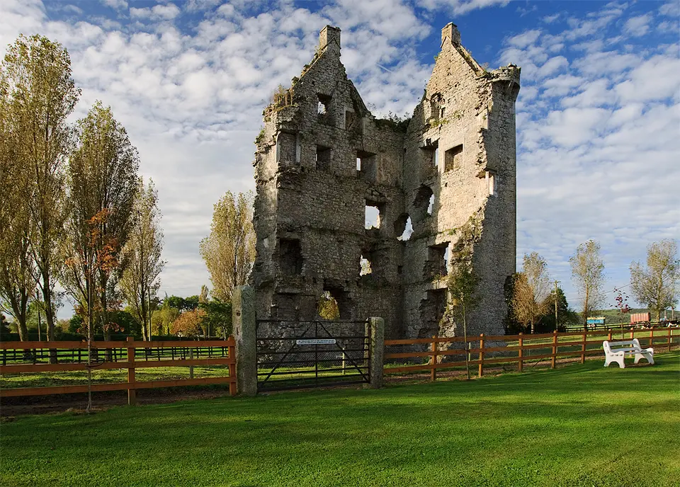 Castles of Munster, Kilduff, Limerick geograph.org.uk 1542552