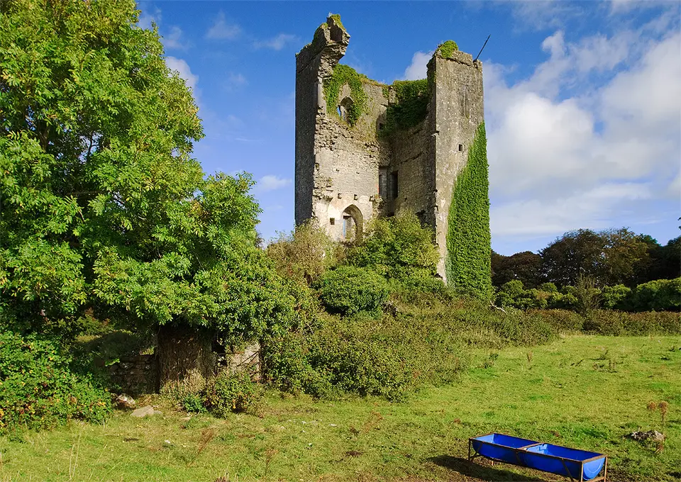 Castles of Munster, Kilkishen, Clare geograph.org.uk 1542578