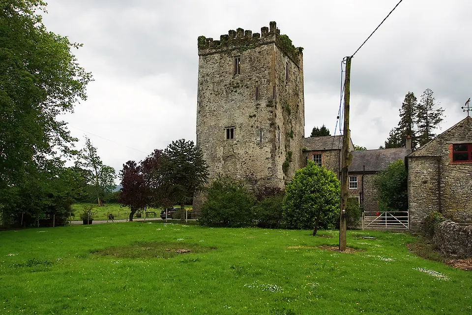 Castles of Munster: Killaghy, Tipperary (2)