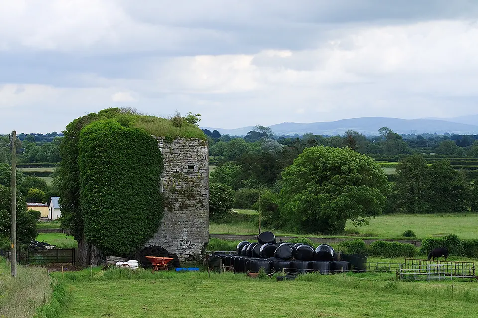 Castles of Munster: Knockainy, Limerick