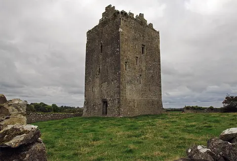 Castles of Munster, Lackeen, Tipperary geograph.org.uk 1542016