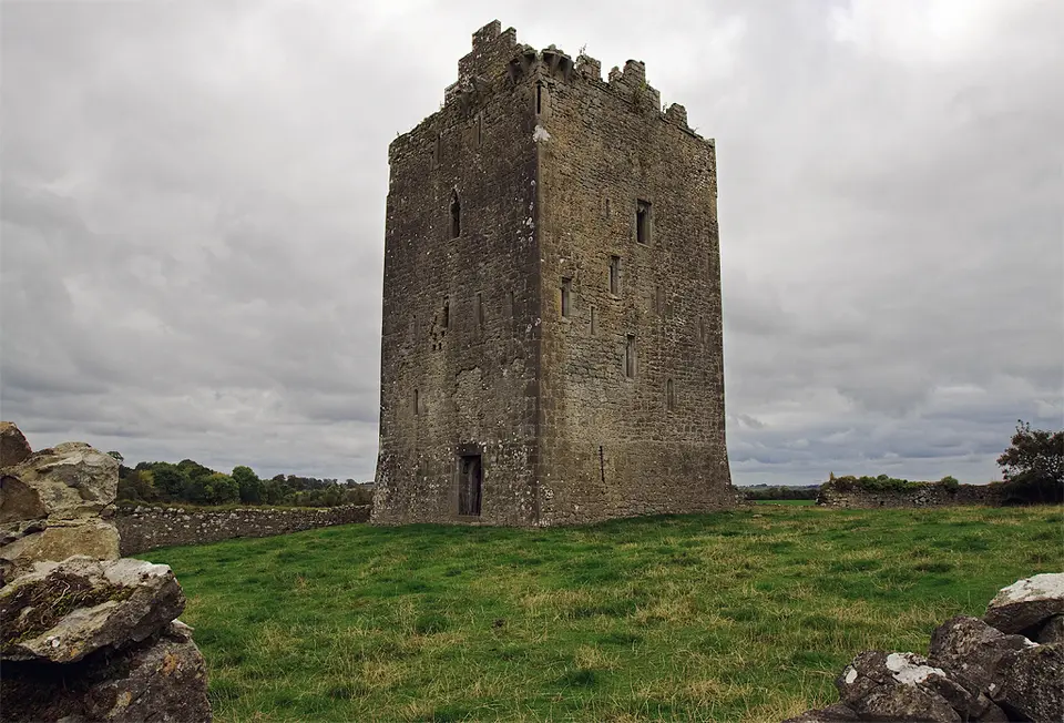 Castles of Munster, Lackeen, Tipperary geograph.org.uk 1542016