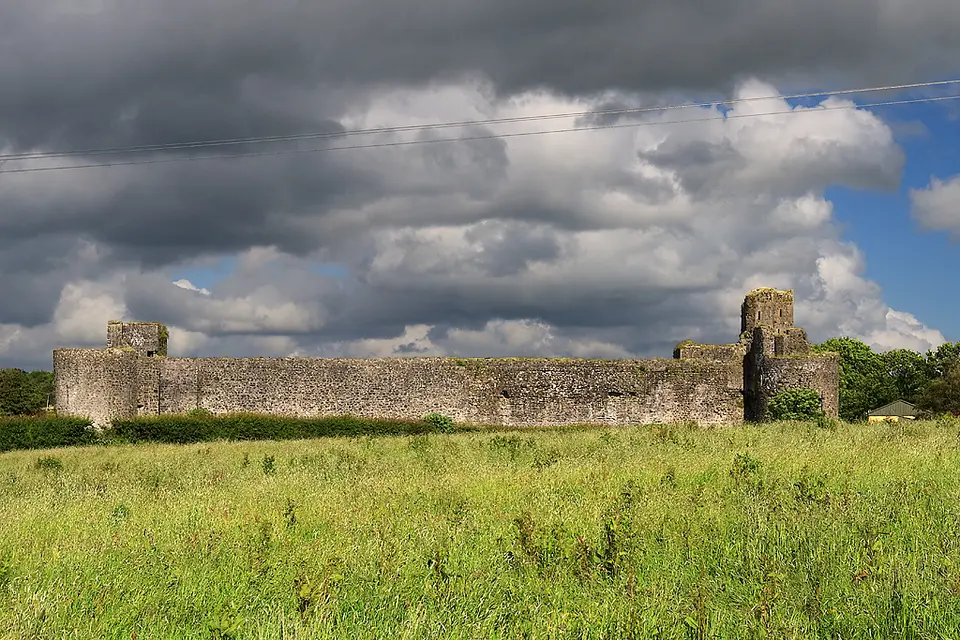 Castles of Munster: Liscarroll, Cork (2)