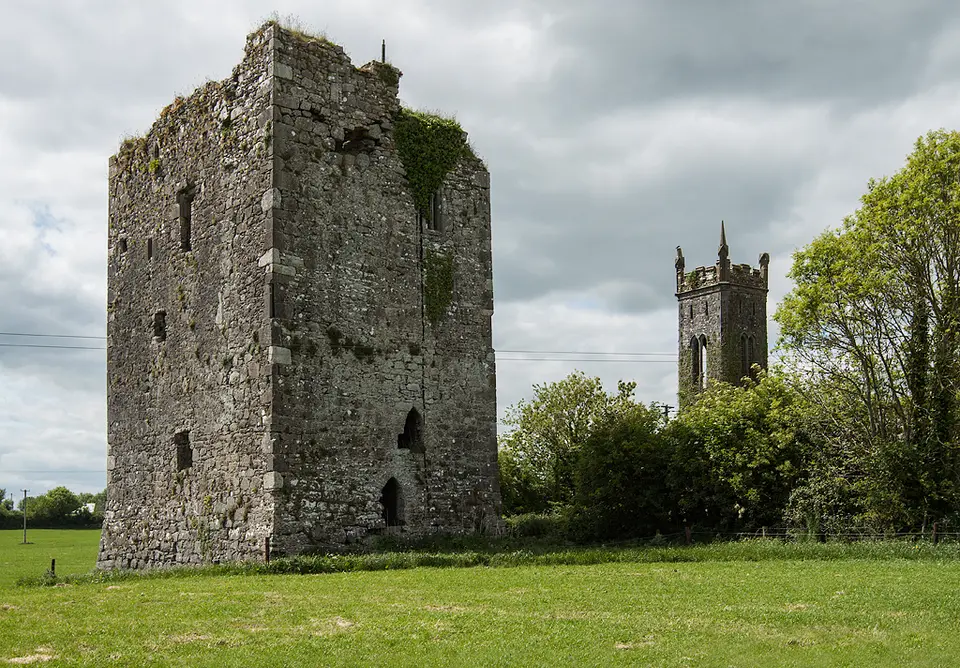 Castles of Munster: Lisronagh, Tipperary (2)