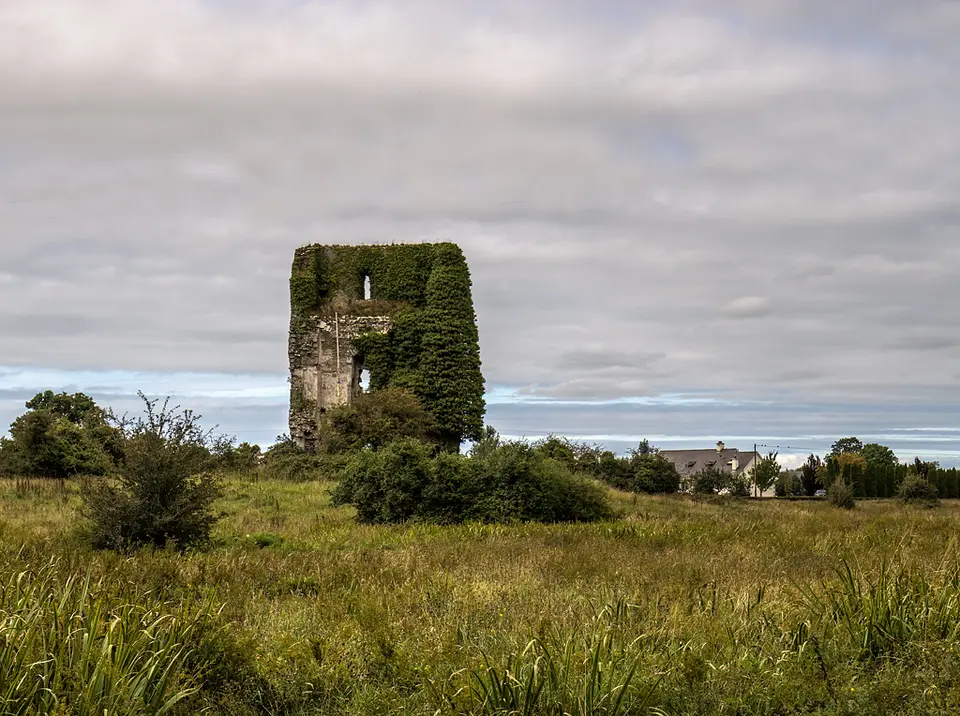 Castles of Munster: Lissofin, Clare (2)