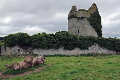 Castles of Munster, Moorstown, Tipperary geograph.org.uk 1542086