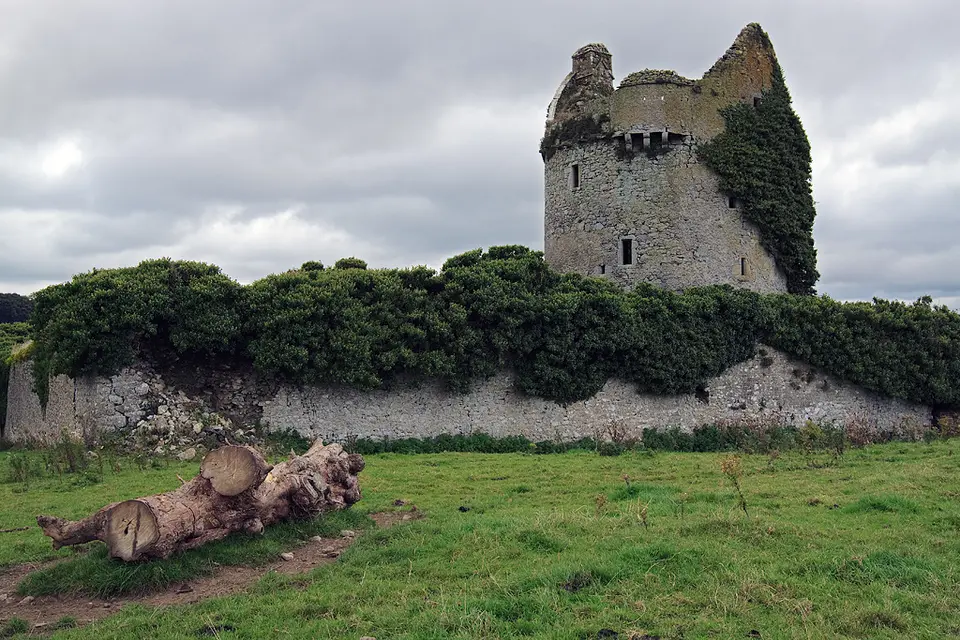Castles of Munster, Moorstown, Tipperary geograph.org.uk 1542086