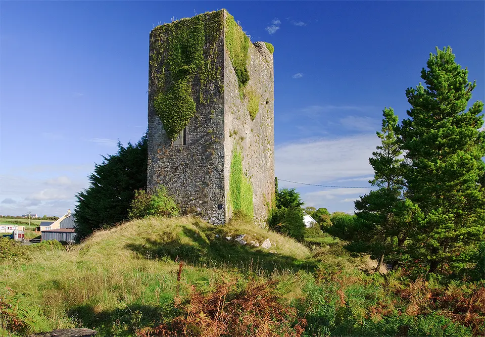Castles of Munster, Mountcashel, Clare geograph.org.uk 1542563