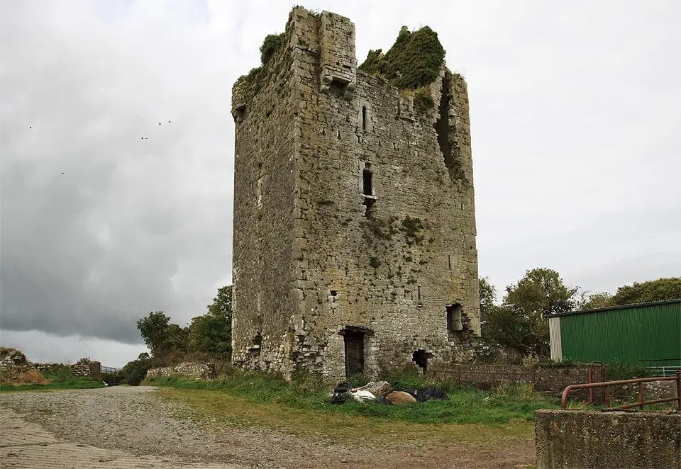 Castles of Munster, Moycarkey, Tipperary geograph.org.uk 1542271