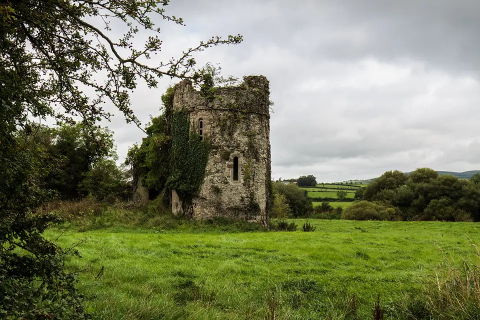 Castles of Munster: Newcastle, Tipperary (1)