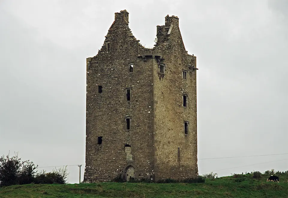 Castles of Munster: Oola, Limerick (2)