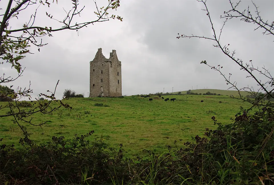 Castles of Munster, Oola, Limerick geograph.org.uk 1542112