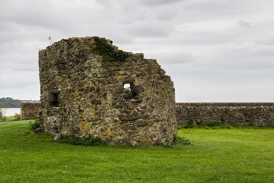 Castles of Munster: Passage East, Waterford (1)