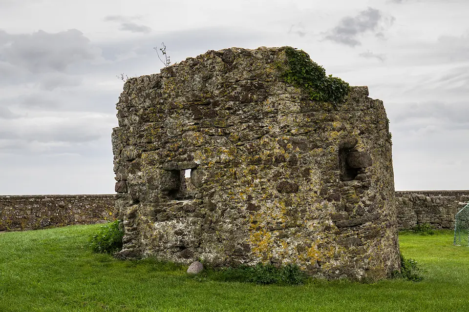 Castles of Munster: Passage East, Waterford (2)