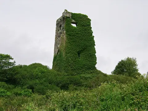 Castles of Munster: Raheen, Cork (2)