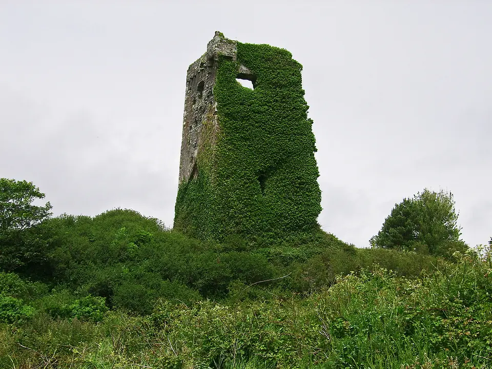 Castles of Munster: Raheen, Cork (2)