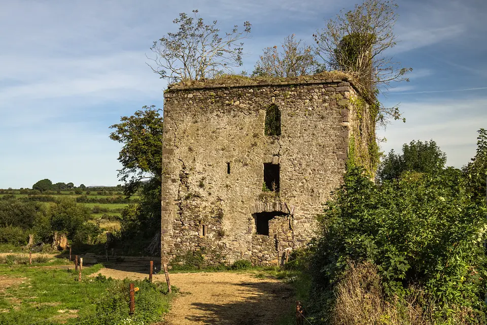 Castles of Munster: Rathgormuck, Waterford (2)