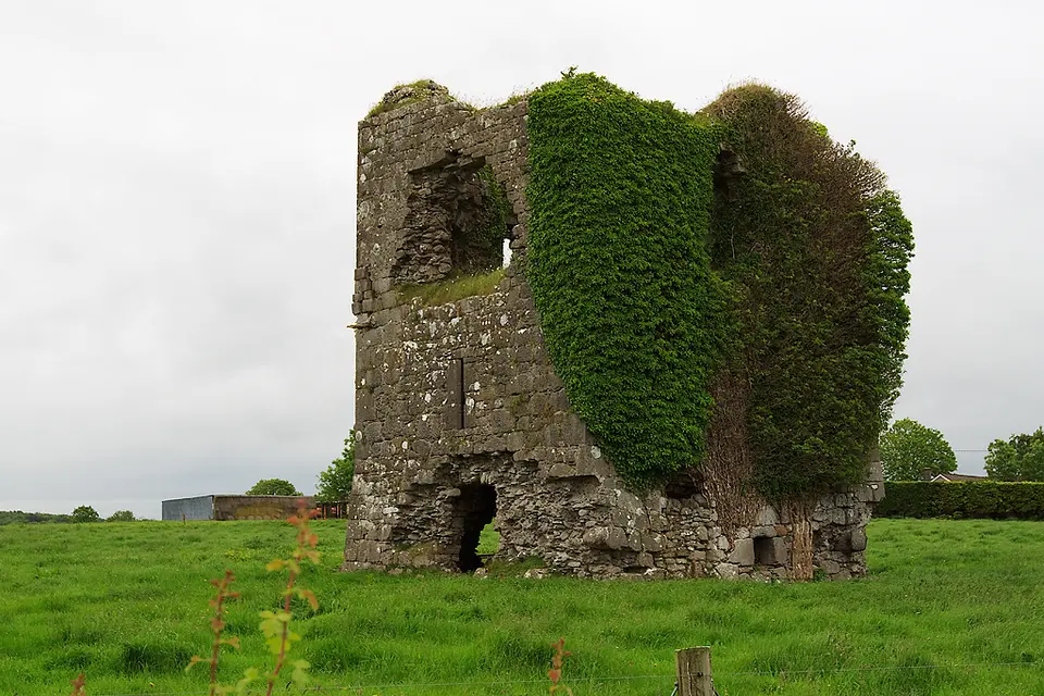 Castles of Munster: Rathnasaer, Limerick