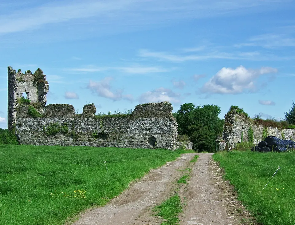 Castles of Munster: Shanpallas, Limerick (1)