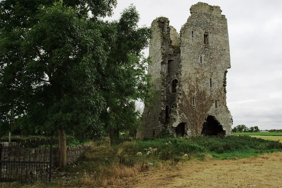 Castles of Munster: Tombrickane, Tipperary (2)
