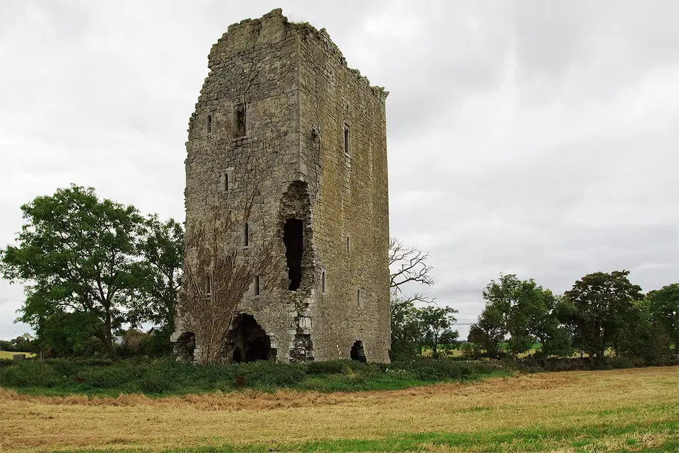 Castles of Munster: Tombrickane, Tipperary This tower beside the Borrisokane to Ballinderry road belonged to William and Rory Kennedy in the 1650s.