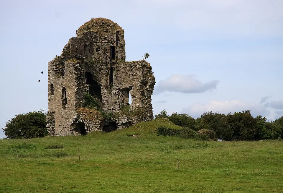 Castles of Munster: Tullow, Tipperary (1)
