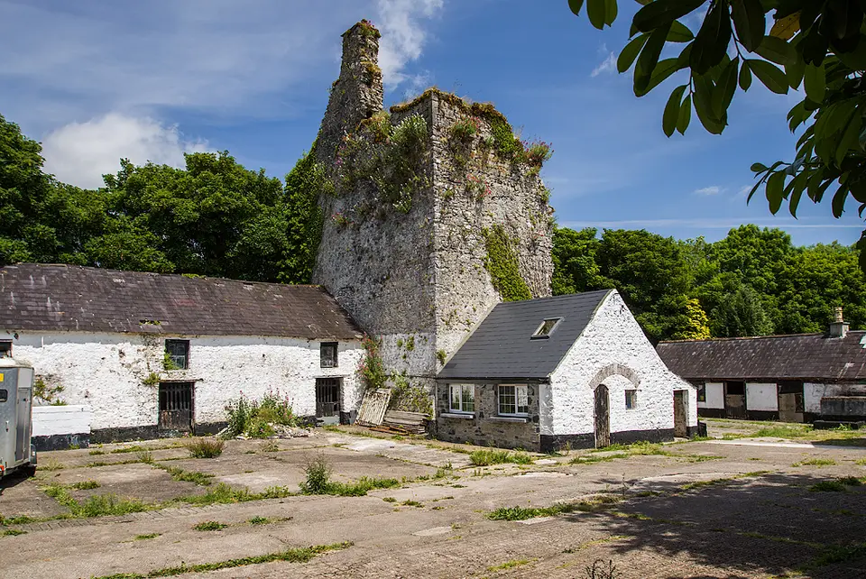 Castles of Munster: Wallstown, Cork