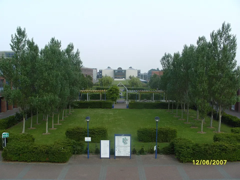 The Central Mall in DCU stretching from the Henry Grattan building to the O'Reilly Library in the background. Photograph taken by Beta.