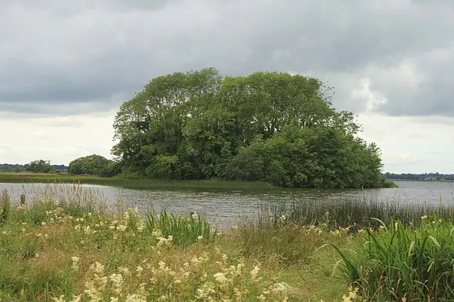 Cherry Island Cherry Island on Lough Ennell, with lower water level now seems to be connected to the shore.