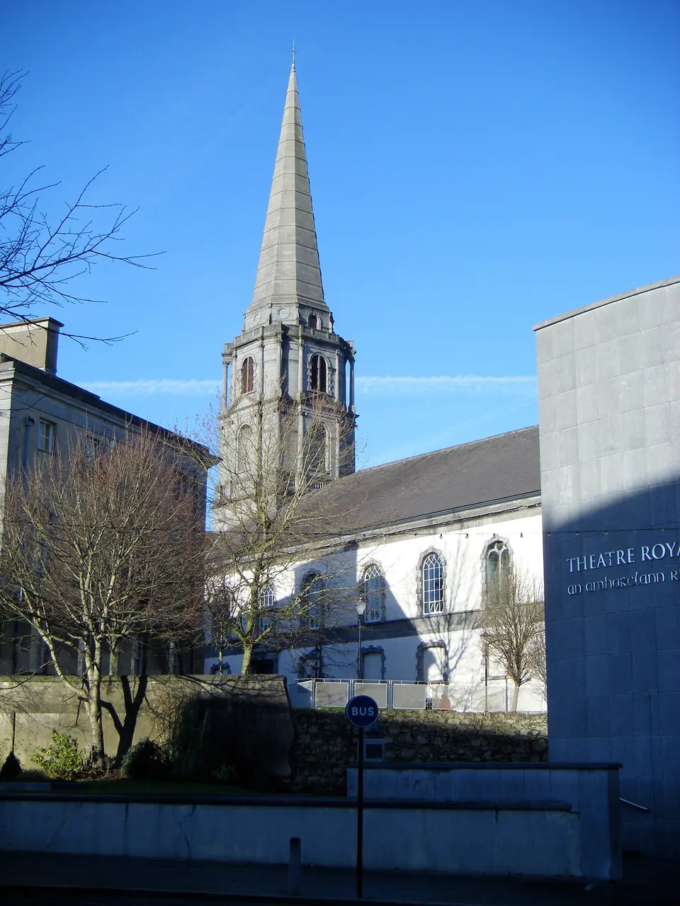 Christ Church Cathedral, Waterford, from The Mall, with the Bishop's Palace to the left and the Theatre Royal to the right.