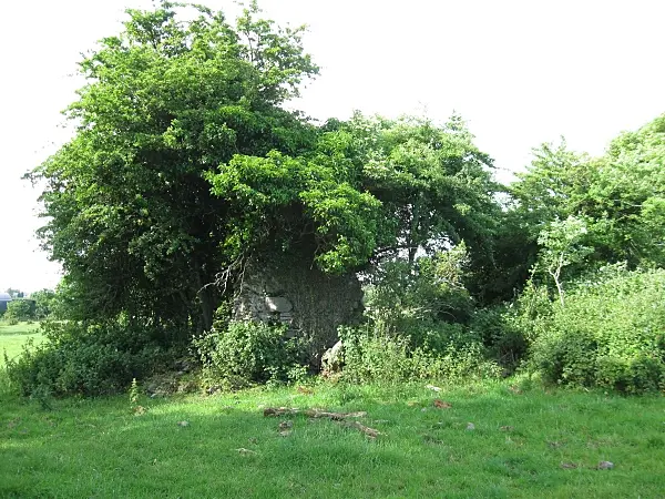 Church Remains All that remains of the 13th C. Ballynaboley Church, about 4.5 Km E of Bennetsbridge.