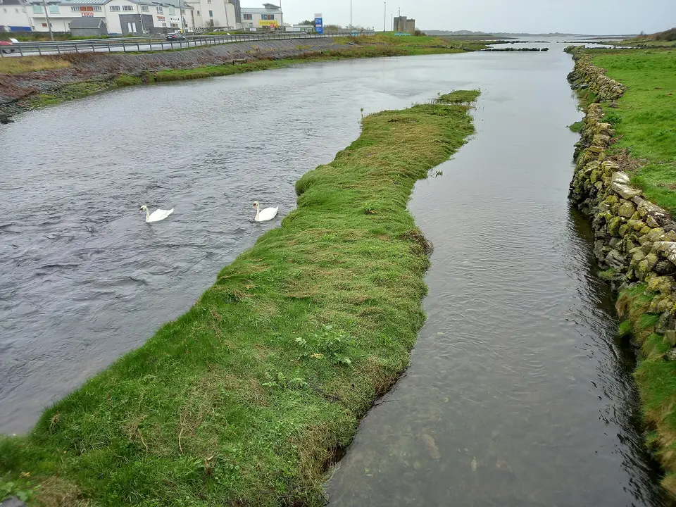 Clarinbridge River in Oranmore